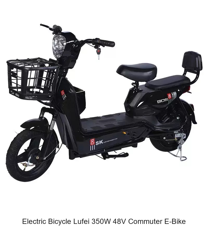 常规电动自行车 路斐款 350W 48V 通勤代步车 (黑色)