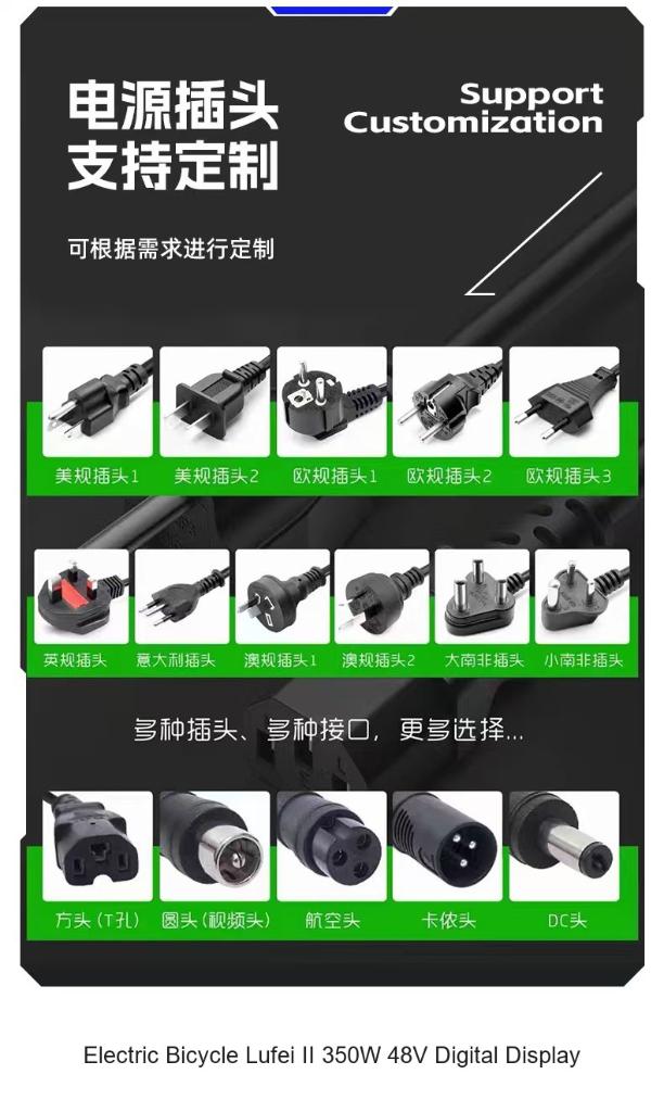 Electric Bicycle Lufei II 350W 48V Digital Display (Black)