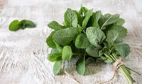 Fresh Mint Bushel (25g) Demo